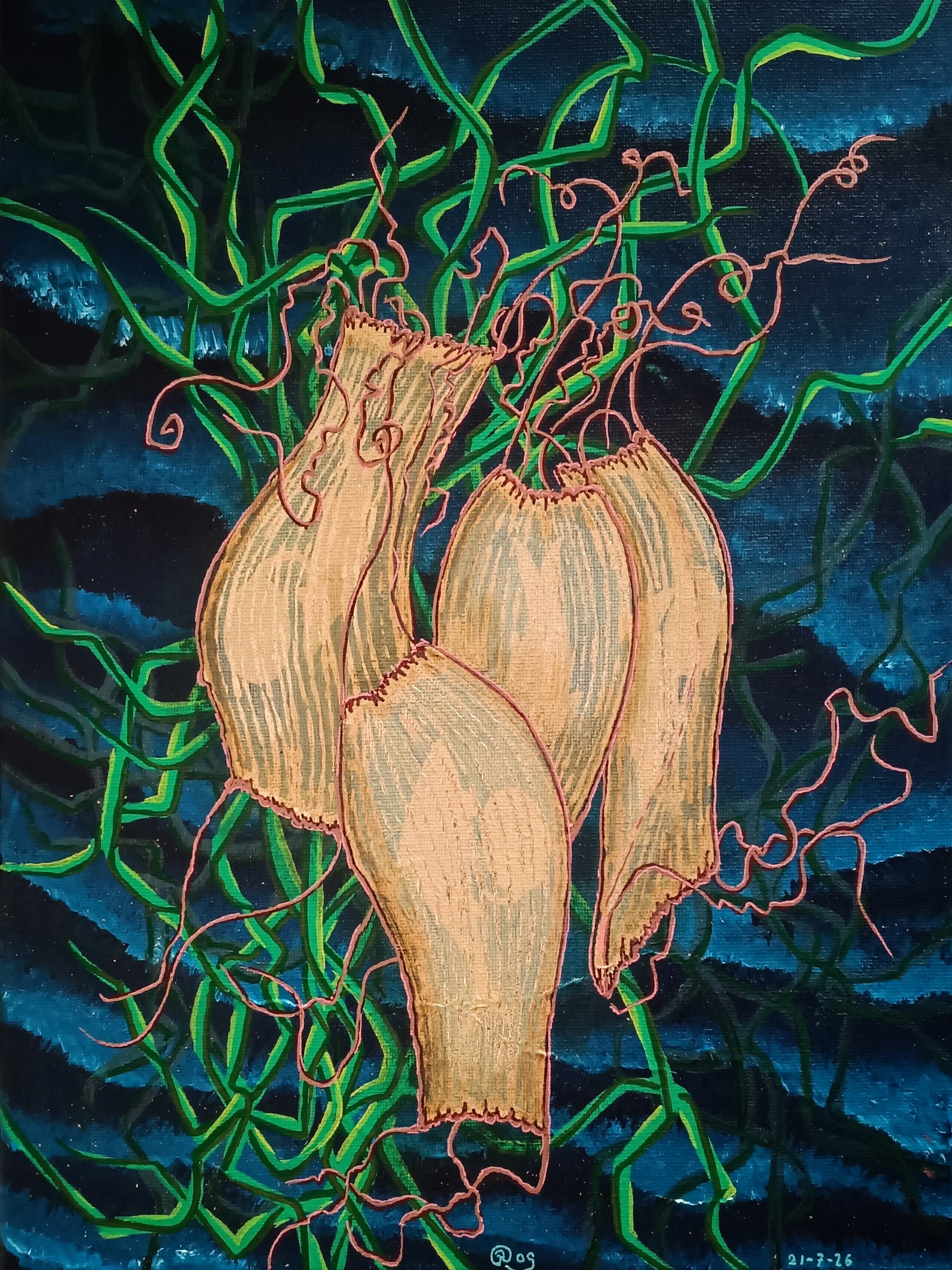Haifischeier-40x30cm